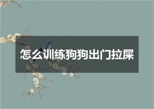 怎么训练狗狗出门拉屎