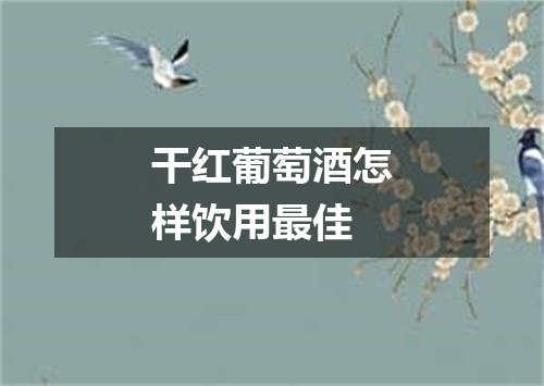 干红葡萄酒怎样饮用最佳