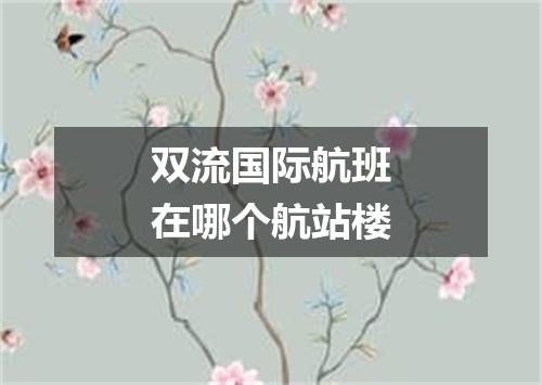双流国际航班在哪个航站楼