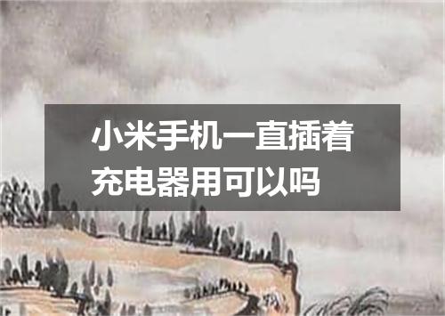 小米手机一直插着充电器用可以吗