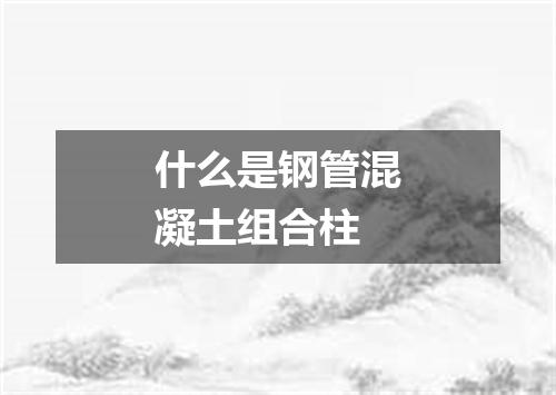 什么是钢管混凝土组合柱