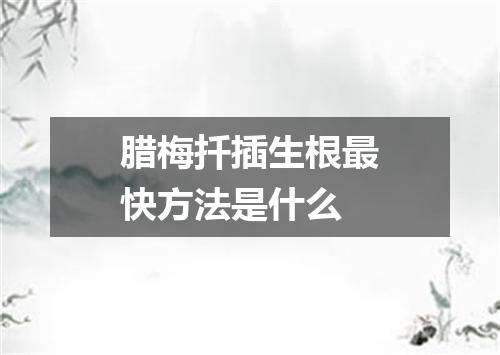 腊梅扦插生根最快方法是什么