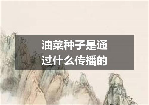 油菜种子是通过什么传播的