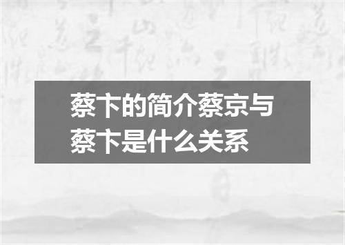 蔡卞的简介蔡京与蔡卞是什么关系