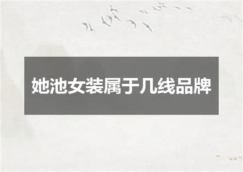 她池女装属于几线品牌