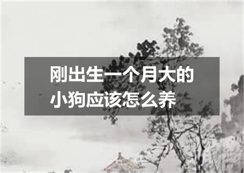 刚出生一个月大的小狗应该怎么养