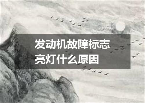 发动机故障标志亮灯什么原因