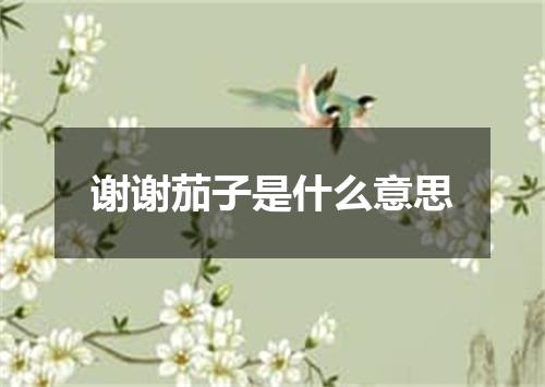 谢谢茄子是什么意思