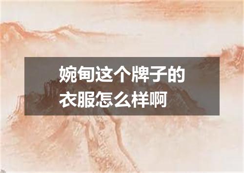 婉甸这个牌子的衣服怎么样啊