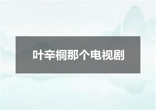 叶辛桐那个电视剧