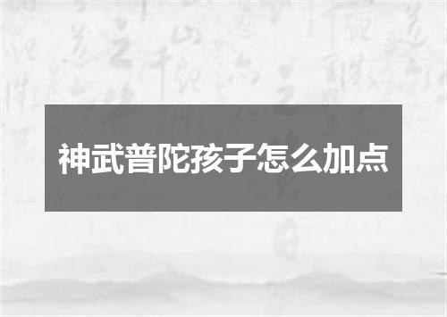 神武普陀孩子怎么加点