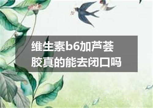 维生素b6加芦荟胶真的能去闭口吗