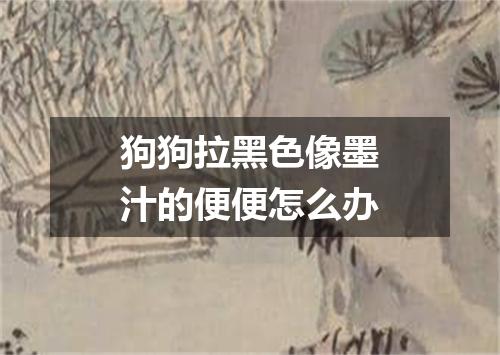 狗狗拉黑色像墨汁的便便怎么办