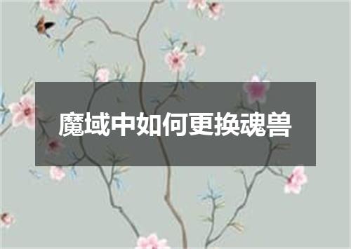 魔域中如何更换魂兽