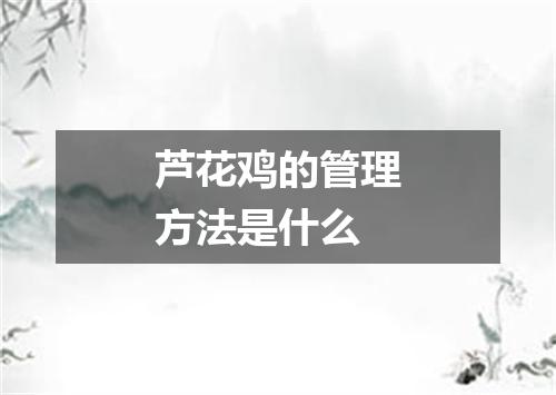 芦花鸡的管理方法是什么