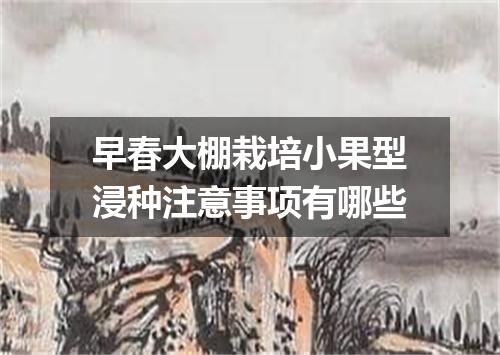 早春大棚栽培小果型浸种注意事项有哪些