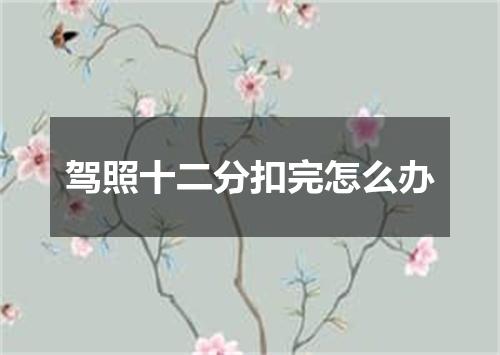 驾照十二分扣完怎么办