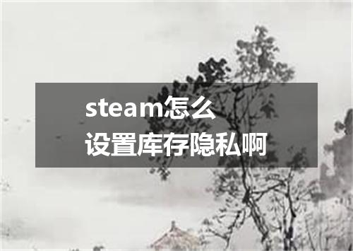 steam怎么设置库存隐私啊