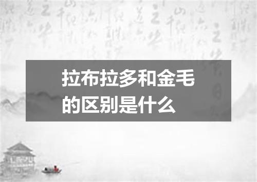 拉布拉多和金毛的区别是什么
