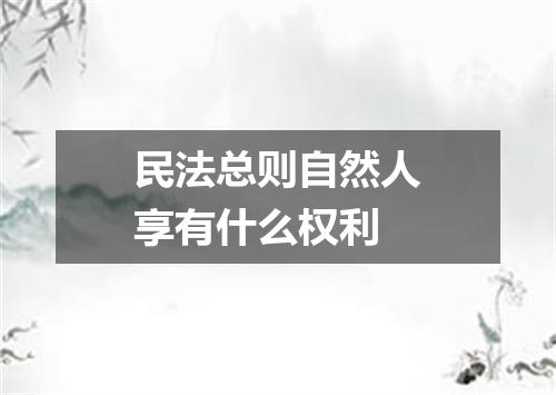 民法总则自然人享有什么权利
