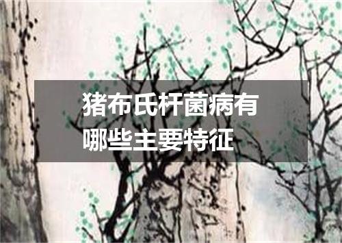 猪布氏杆菌病有哪些主要特征