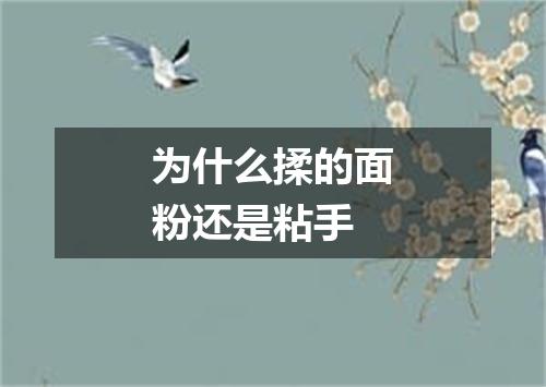 为什么揉的面粉还是粘手