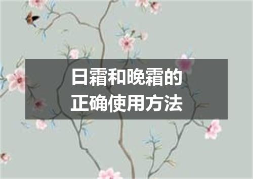 日霜和晚霜的正确使用方法