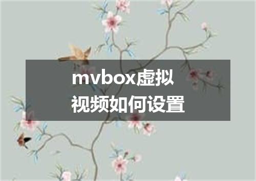 mvbox虚拟视频如何设置