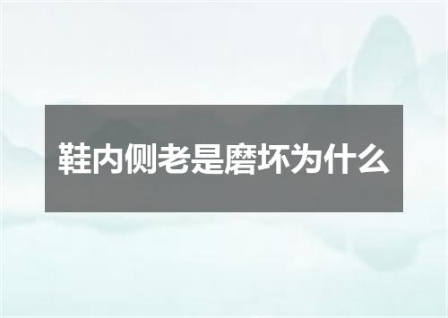鞋内侧老是磨坏为什么