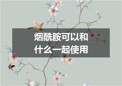 烟酰胺可以和什么一起使用