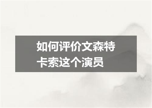 如何评价文森特卡索这个演员