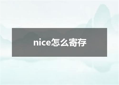 nice怎么寄存