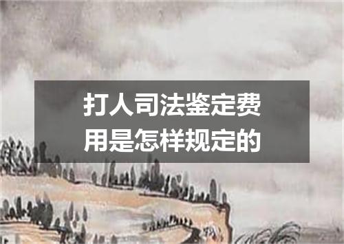 打人司法鉴定费用是怎样规定的