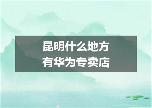 昆明什么地方有华为专卖店