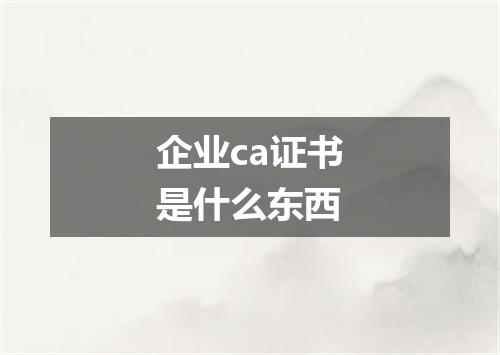 企业ca证书是什么东西