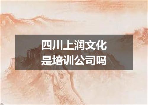 四川上润文化是培训公司吗
