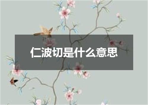 仁波切是什么意思