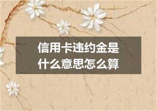 信用卡违约金是什么意思怎么算