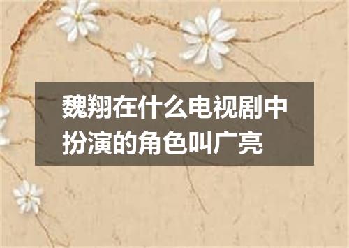 魏翔在什么电视剧中扮演的角色叫广亮