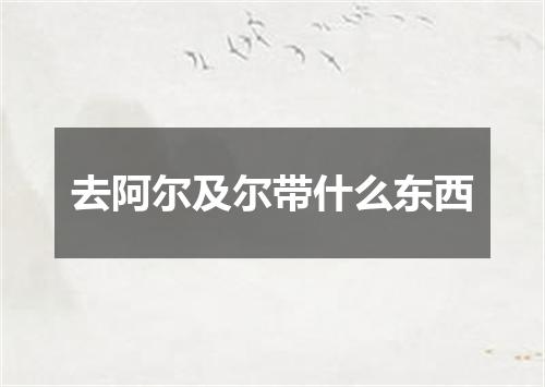 去阿尔及尔带什么东西