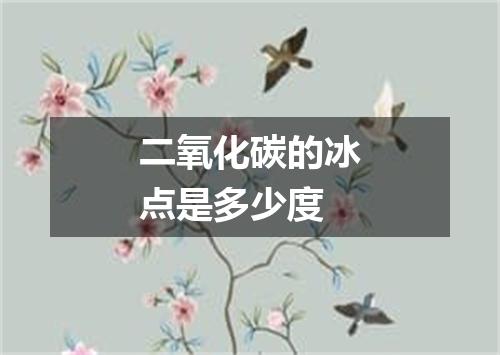 二氧化碳的冰点是多少度