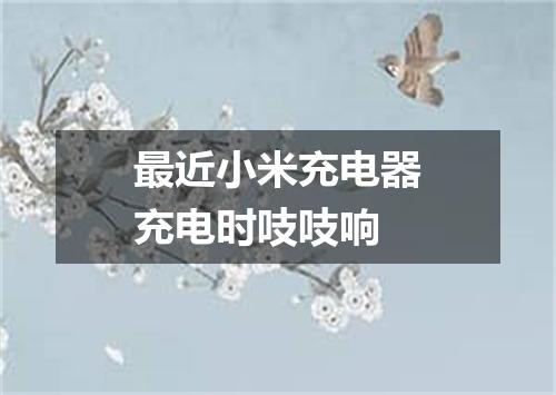 最近小米充电器充电时吱吱响