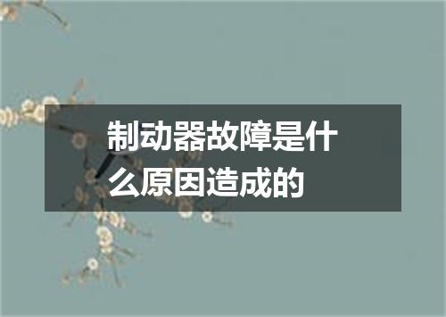 制动器故障是什么原因造成的