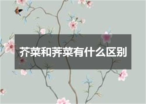 芥菜和荠菜有什么区别