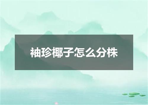 袖珍椰子怎么分株