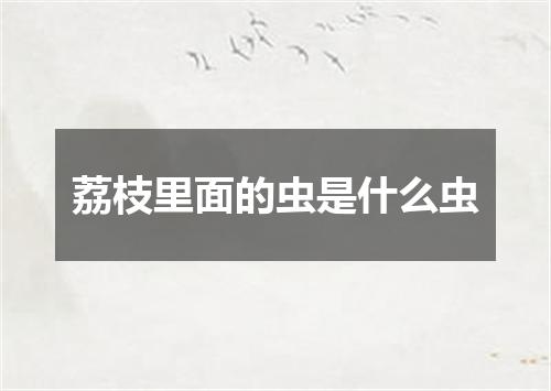 荔枝里面的虫是什么虫