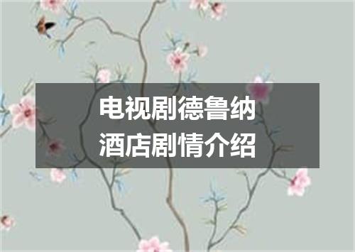 电视剧德鲁纳酒店剧情介绍