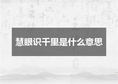慧眼识千里是什么意思