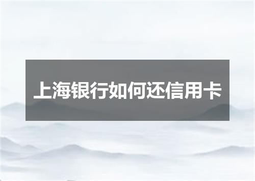 上海银行如何还信用卡