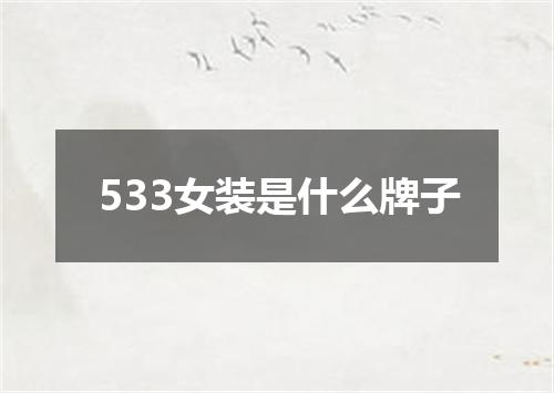 533女装是什么牌子